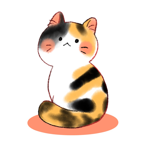 고양이1