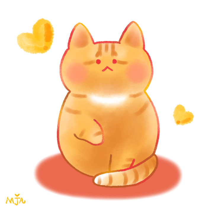 고양이3