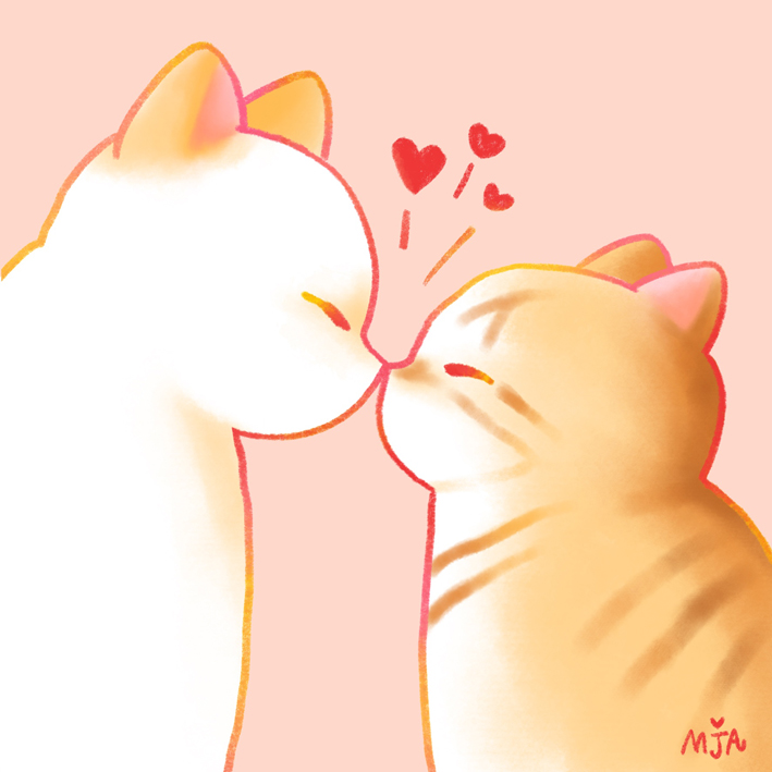 고양이4