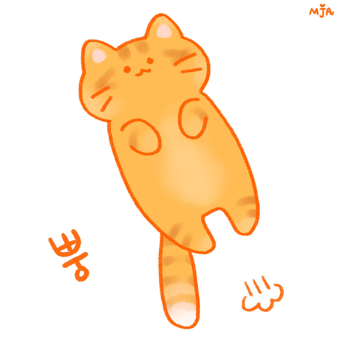 고양이5